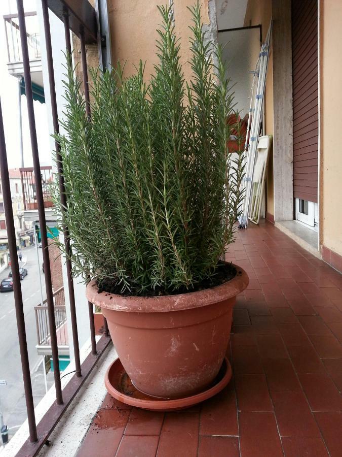 Готель La Via Per Milano Віджевано Екстер'єр фото